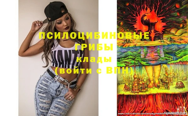 прущие крисы Гусиноозёрск