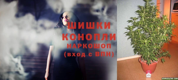 прущие крисы Гусиноозёрск