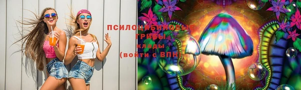 прущие грибы Чегем