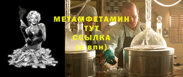 прущие грибы Чекалин