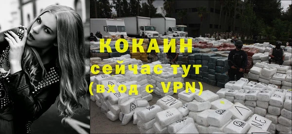 бошки Гусев
