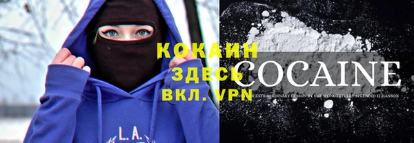 бошки Гусев