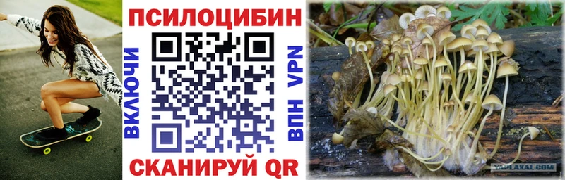 Галлюциногенные грибы Cubensis  как найти   Лабинск 